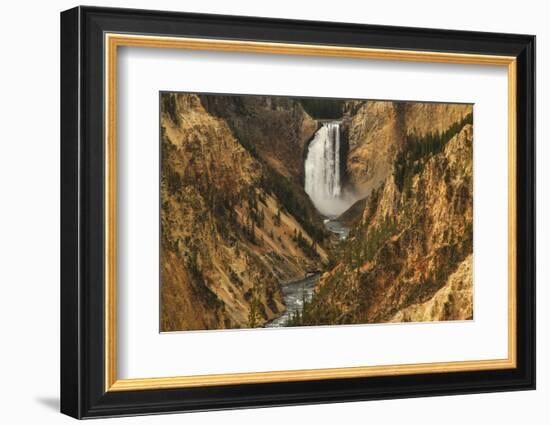 Wyoming, Lower Falls Yellowstone National Park-Patrick J. Wall-Framed Photographic Print