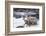 Wyoming, Mule Deer Doe and Fawns Standing in River During Autumn-Elizabeth Boehm-Framed Photographic Print