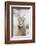 Wyoming, National Elk Refuge, Bighorn Sheep Ewe Portrait-Elizabeth Boehm-Framed Photographic Print