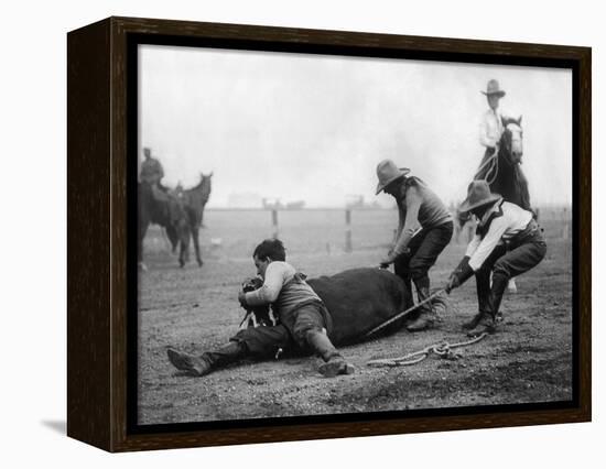 Wyoming: Rodeo, C1910-null-Framed Premier Image Canvas