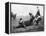 Wyoming: Rodeo, C1910-null-Framed Premier Image Canvas