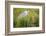 Wyoming, Sublette County, a Juvenile Great Blue Heron Forages for Food-Elizabeth Boehm-Framed Photographic Print