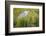 Wyoming, Sublette County, a Juvenile Great Blue Heron Forages for Food-Elizabeth Boehm-Framed Photographic Print