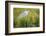 Wyoming, Sublette County, a Juvenile Great Blue Heron Forages for Food-Elizabeth Boehm-Framed Photographic Print