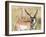 Wyoming, Sublette County, a Pronghorn Male Eating Forbes-Elizabeth Boehm-Framed Photographic Print