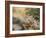 Wyoming, Sublette County, a Young Great Horned Owl Sits on a Lichen Covered Ledge-Elizabeth Boehm-Framed Photographic Print