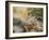 Wyoming, Sublette County, a Young Great Horned Owl Sits on a Lichen Covered Ledge-Elizabeth Boehm-Framed Photographic Print