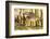 Wyoming, Sublette County, a Young Virginia Rail Forages in a Cattail Marsh-Elizabeth Boehm-Framed Photographic Print