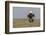 Wyoming, Sublette County. Adult Bald Eagle perching on a snag at Soda Lake-Elizabeth Boehm-Framed Photographic Print