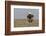 Wyoming, Sublette County. Adult Bald Eagle perching on a snag at Soda Lake-Elizabeth Boehm-Framed Photographic Print