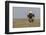 Wyoming, Sublette County. Adult Bald Eagle perching on a snag at Soda Lake-Elizabeth Boehm-Framed Photographic Print