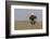 Wyoming, Sublette County. Adult Bald Eagle perching on a snag at Soda Lake-Elizabeth Boehm-Framed Photographic Print