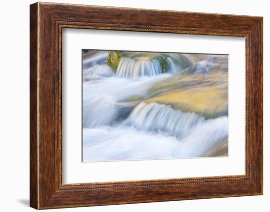 Wyoming, Sublette County, Close Up of Pine Creek Flowing over Rocks-Elizabeth Boehm-Framed Photographic Print