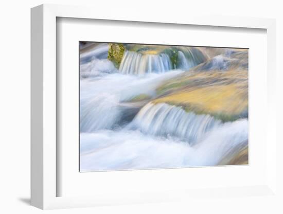 Wyoming, Sublette County, Close Up of Pine Creek Flowing over Rocks-Elizabeth Boehm-Framed Photographic Print