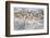 Wyoming, Sublette County. Curious group of pronghorn standing in sagebrush during the wintertime-Elizabeth Boehm-Framed Photographic Print