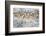 Wyoming, Sublette County. Curious group of pronghorn standing in sagebrush during the wintertime-Elizabeth Boehm-Framed Photographic Print