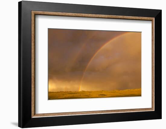 Wyoming, Sublette County, Double Rainbow in Stormy Sky-Elizabeth Boehm-Framed Photographic Print