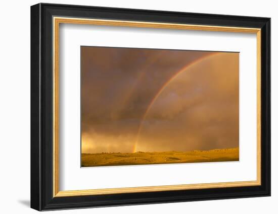 Wyoming, Sublette County, Double Rainbow in Stormy Sky-Elizabeth Boehm-Framed Photographic Print