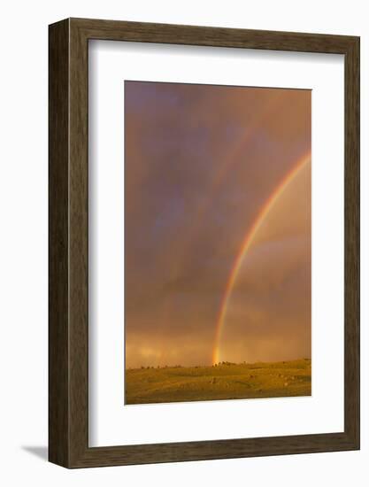 Wyoming, Sublette County, Double Rainbow in Stormy Sky-Elizabeth Boehm-Framed Photographic Print