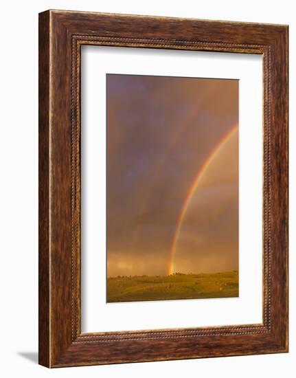 Wyoming, Sublette County, Double Rainbow in Stormy Sky-Elizabeth Boehm-Framed Photographic Print