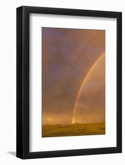 Wyoming, Sublette County, Double Rainbow in Stormy Sky-Elizabeth Boehm-Framed Photographic Print