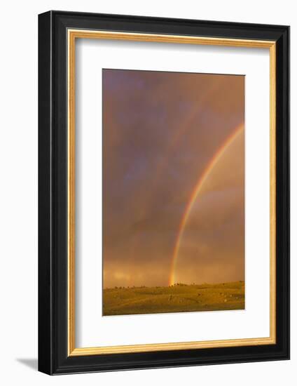 Wyoming, Sublette County, Double Rainbow in Stormy Sky-Elizabeth Boehm-Framed Photographic Print