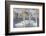 Wyoming, Sublette County. Group of five Trumpeter Swans sitting on a partially ice-covered pond-Elizabeth Boehm-Framed Photographic Print