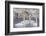 Wyoming, Sublette County. Group of five Trumpeter Swans sitting on a partially ice-covered pond-Elizabeth Boehm-Framed Photographic Print