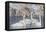 Wyoming, Sublette County. Group of five Trumpeter Swans sitting on a partially ice-covered pond-Elizabeth Boehm-Framed Premier Image Canvas