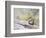 Wyoming, Sublette County, Least Chipmunk with Front Legs Crossed-Elizabeth Boehm-Framed Photographic Print