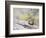 Wyoming, Sublette County, Least Chipmunk with Front Legs Crossed-Elizabeth Boehm-Framed Photographic Print