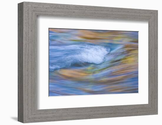 Wyoming, Sublette County, Pine Creek Abstract and Fall Colors-Elizabeth Boehm-Framed Photographic Print