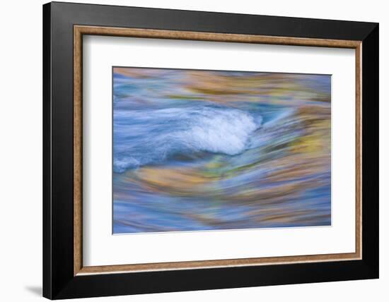 Wyoming, Sublette County, Pine Creek Abstract and Fall Colors-Elizabeth Boehm-Framed Photographic Print