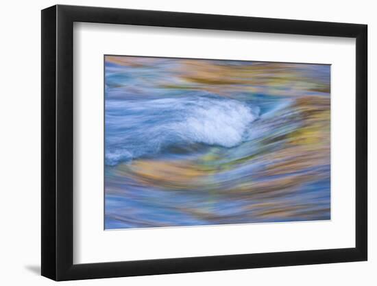 Wyoming, Sublette County, Pine Creek Abstract and Fall Colors-Elizabeth Boehm-Framed Photographic Print