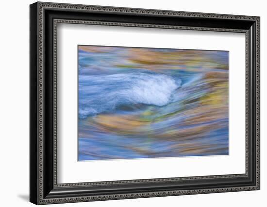 Wyoming, Sublette County, Pine Creek Abstract and Fall Colors-Elizabeth Boehm-Framed Photographic Print
