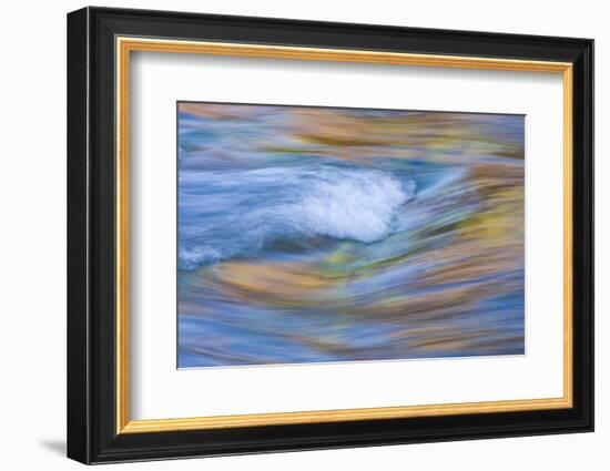 Wyoming, Sublette County, Pine Creek Abstract and Fall Colors-Elizabeth Boehm-Framed Photographic Print