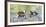 Wyoming, Sublette County, Sora Feeds Chick in a Pond-Elizabeth Boehm-Framed Photographic Print