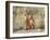 Wyoming, Sublette County. Two young fox kits watch from their den for a parent-Elizabeth Boehm-Framed Photographic Print