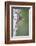 Wyoming, Sublette County. Young male Northern Flicker peering from it's nest cavity-Elizabeth Boehm-Framed Photographic Print