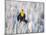 Wyoming, Sublette, Yellow-Headed Blackbird Calling in Cattail Marsh-Elizabeth Boehm-Mounted Photographic Print