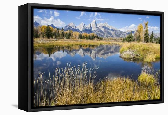 Wyoming, the Grand Teton Mountains are Reflected Along the Snake River at Schwabacher Landing-Elizabeth Boehm-Framed Premier Image Canvas