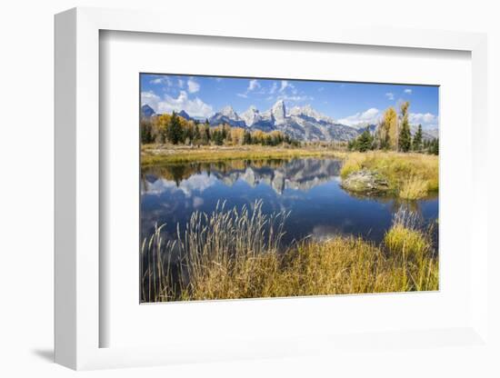 Wyoming, the Grand Teton Mountains are Reflected Along the Snake River at Schwabacher Landing-Elizabeth Boehm-Framed Photographic Print