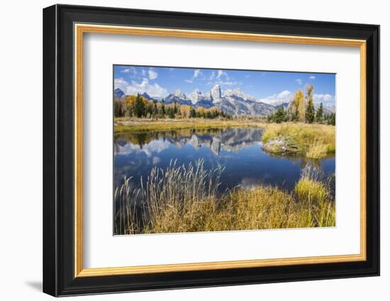 Wyoming, the Grand Teton Mountains are Reflected Along the Snake River at Schwabacher Landing-Elizabeth Boehm-Framed Photographic Print