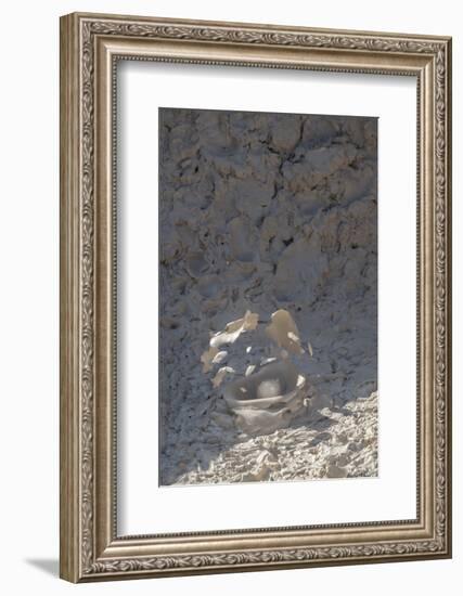 Wyoming, Yellowstone National Park, Atrists' Paintpots. Boiling hot mud pots-Cindy Miller Hopkins-Framed Photographic Print