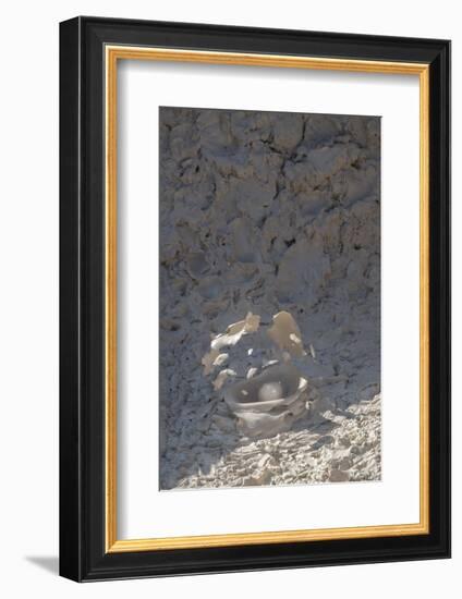 Wyoming, Yellowstone National Park, Atrists' Paintpots. Boiling hot mud pots-Cindy Miller Hopkins-Framed Photographic Print