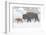 Wyoming, Yellowstone National Park, Bison and Newborn Calf Walking in Snowstorm-Elizabeth Boehm-Framed Photographic Print