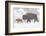 Wyoming, Yellowstone National Park, Bison and Newborn Calf Walking in Snowstorm-Elizabeth Boehm-Framed Photographic Print