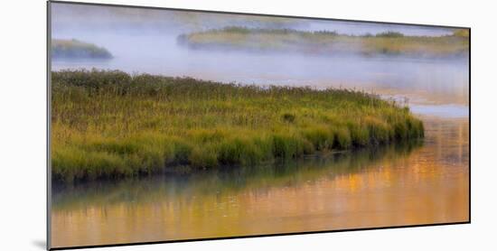 Wyoming, Yellowstone National Park. Morning on the Madison River-Jaynes Gallery-Mounted Photographic Print