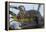 Wyoming, Yellowstone National Park, Northern River Otter on Log in Trout Lake-Elizabeth Boehm-Framed Premier Image Canvas