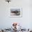 Wyoming, Yellowstone National Park, Northern River Otter Pups Eating Trout-Elizabeth Boehm-Framed Photographic Print displayed on a wall